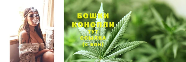 кокс Гусев