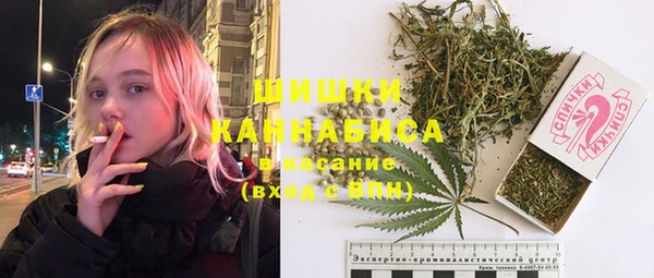 шишки Горнозаводск