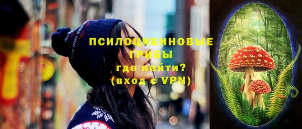 прущие крисы Гусиноозёрск