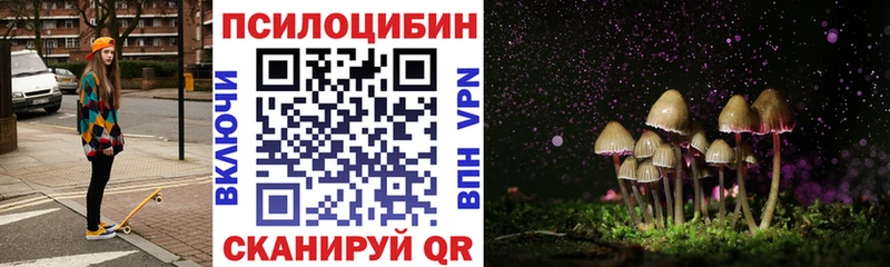 Галлюциногенные грибы Psilocybe  где купить   Москва 