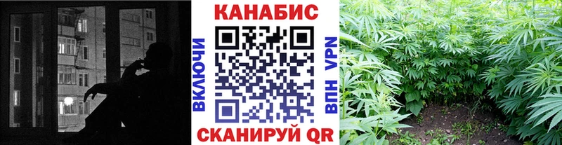 Конопля план Москва